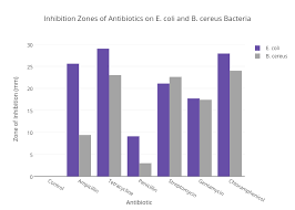 Inhibition Zones Of Antibiotics On E Coli And B Cereus