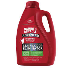 5 best carpet stain removers 2024