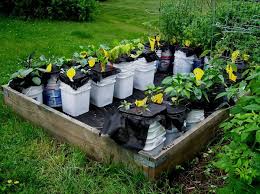 Self Watering Container Garden Ideas