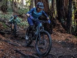 gift guide for mountain bikers liv
