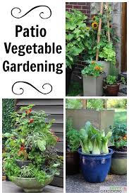 Patio Vegetable Garden Setup And Tips