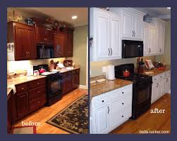 painted cabinets nashville tn before