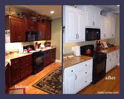 Painted Cabinets Nashville Tn Before