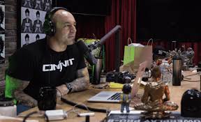 the 27 best joe rogan podcasts of all