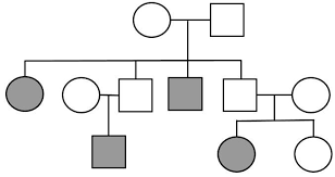 14 rational simple pedigree worksheet. Analyzing Human Pedigrees