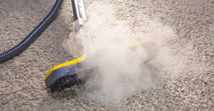 hot water extraction carpet cleaning