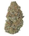 Blue Dream Sativa Delivered Straight To Your Door | Siesta G ...