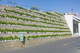 Unique Terraforce Green Wall Design