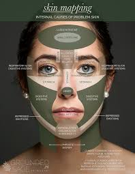 Skin Mapping Chart Pinpoint Internal Causes Of Problem