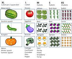 Garden Layout Vegetable Square Foot