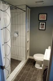 Compact Basement Bathroom Bathroom