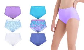 Up To 41 Off On Hanes Womens Underwear 6 Pack Groupon