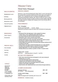 Hotel Sales Manager Resume Hospitality Marketing Guests
