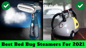10 best bed bug steamers for 2021 the