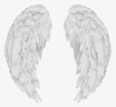 Angel Wings PNG Images, Transparent Angel Wings Image Download - PNGitem