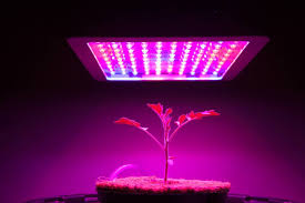 Mars Hydro 300w Led Grow Light Review Things You Should Know Before Picking