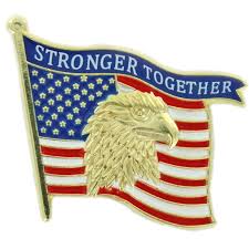 stronger together eagle flag lapel pin
