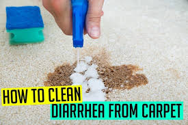 how to clean diarrhea from carpet