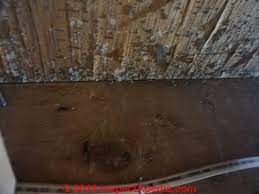 Depending on ceiling age that popcorn spray could contain asbestos. Basement Mold How To Find Test For Mold In Basements A How To Photo And Text Primer On Finding And Testing For Mold In Buildings