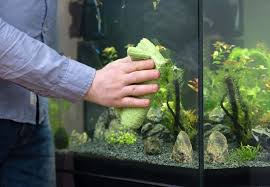 how to clean a fish tank remove that