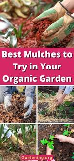 8 Best Mulches To Use In Your Organic