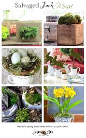Upcycled Moss Projects