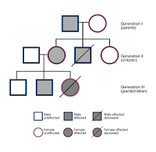 Individual symbols for drawing a family tree jpeg scottish. Pedigree
