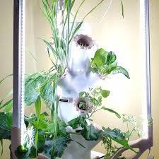 12 Plants Hydroponic Vertical Garden