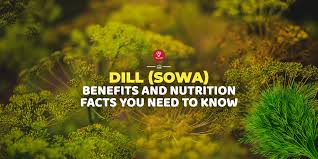 dill sowa benefits and nutrition