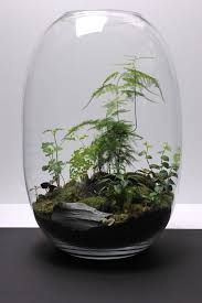 Miniature Garden In A Glass Bowl