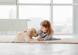 carpet cleaning victoria bc by