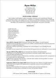 Professional Audit Assistant Resume Templates To Showcase Your