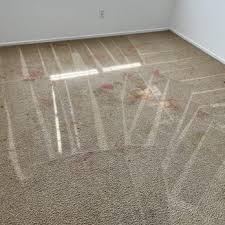 a1 carpet cleaning hd 41 photos