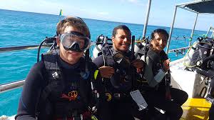 12 Scuba Diving Certification Levels From Beginners To
