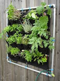 Vertical Vegetable Garden Ideas 22