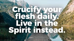 Crucify Your Flesh Daily. Live in the Spirit Instead. – Bible Inspirations