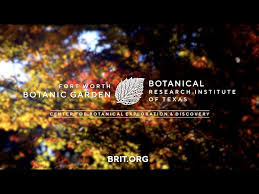 Fort Worth Botanic Garden Brit Unwind