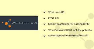 wordpress rest api development the