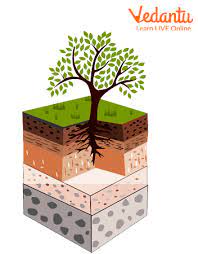 soil erosion definition causes