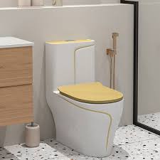 Floor Mount Toilet Traditional Skirted