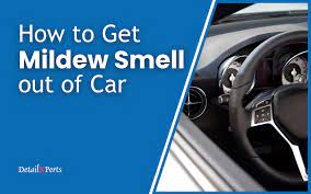 how to get mildew smell out of car
