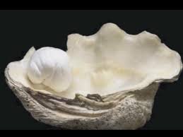 biggest natural pearl philippines