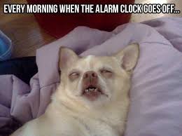 Bildresultat för alarm clock fun