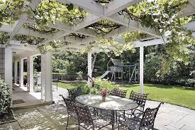 Pergola Plants And Vines Landscaping