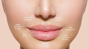 lips explained enhance me training