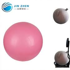17 11 233 Swiss Ball Exercise Chart Pdf Yoga Ball Cover Fur Buy Paul Chek Swiss Ball Exercises Yoga Ball Cover Fur Fitness Equipment Product On