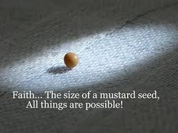 Image result for if you faith the size of a mustard seed