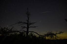 A fireball from the leonid meteor shower streaked through orion over yorktown, virginia, before dawn on november 15, 2020. Earthsky Perseid Meteor Shower 2021 Reaches Its Peak