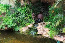 small simple waterfall with stone
