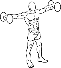 dumbbell arm exercises to build muscle